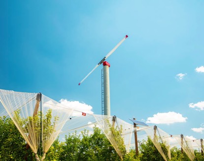 Une éolienne avec filets para grêle.